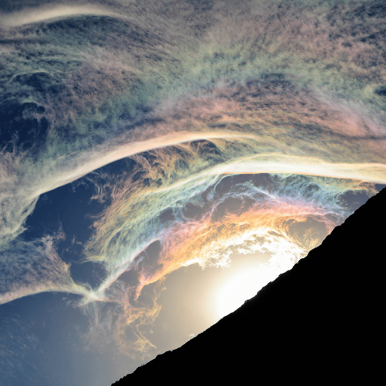 再次發現山林之美